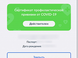 В Петербурге введут QR-коды с 1 ноября 